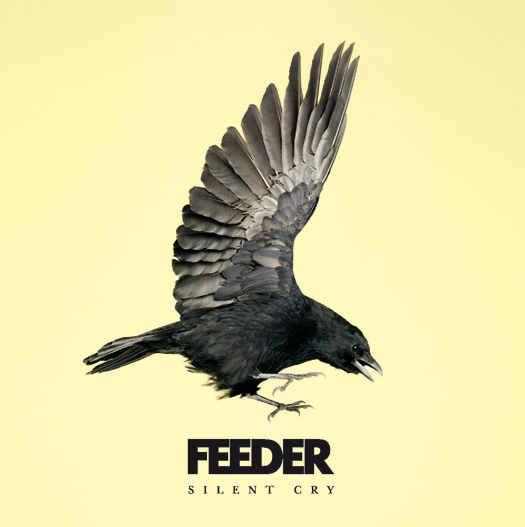 FEEDER