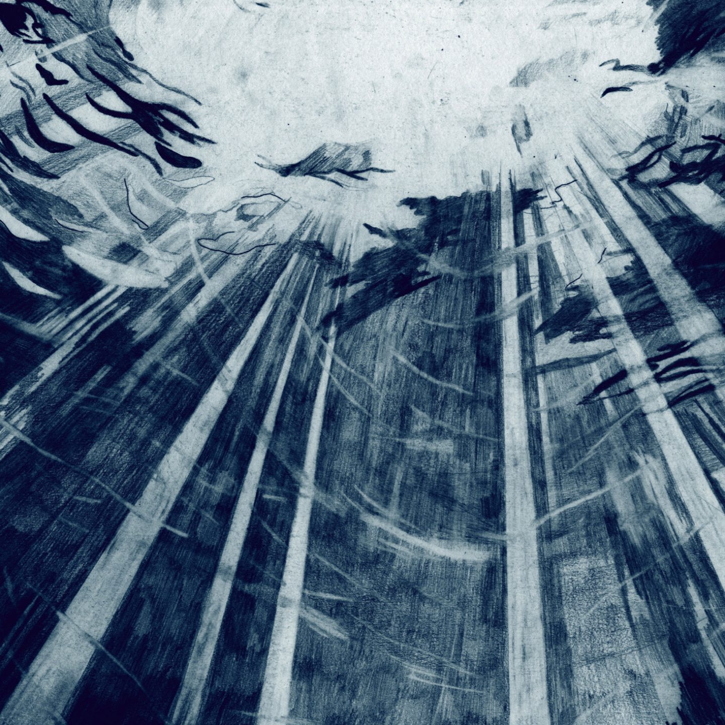 D.L.I.D dans Les Inrockuptibles